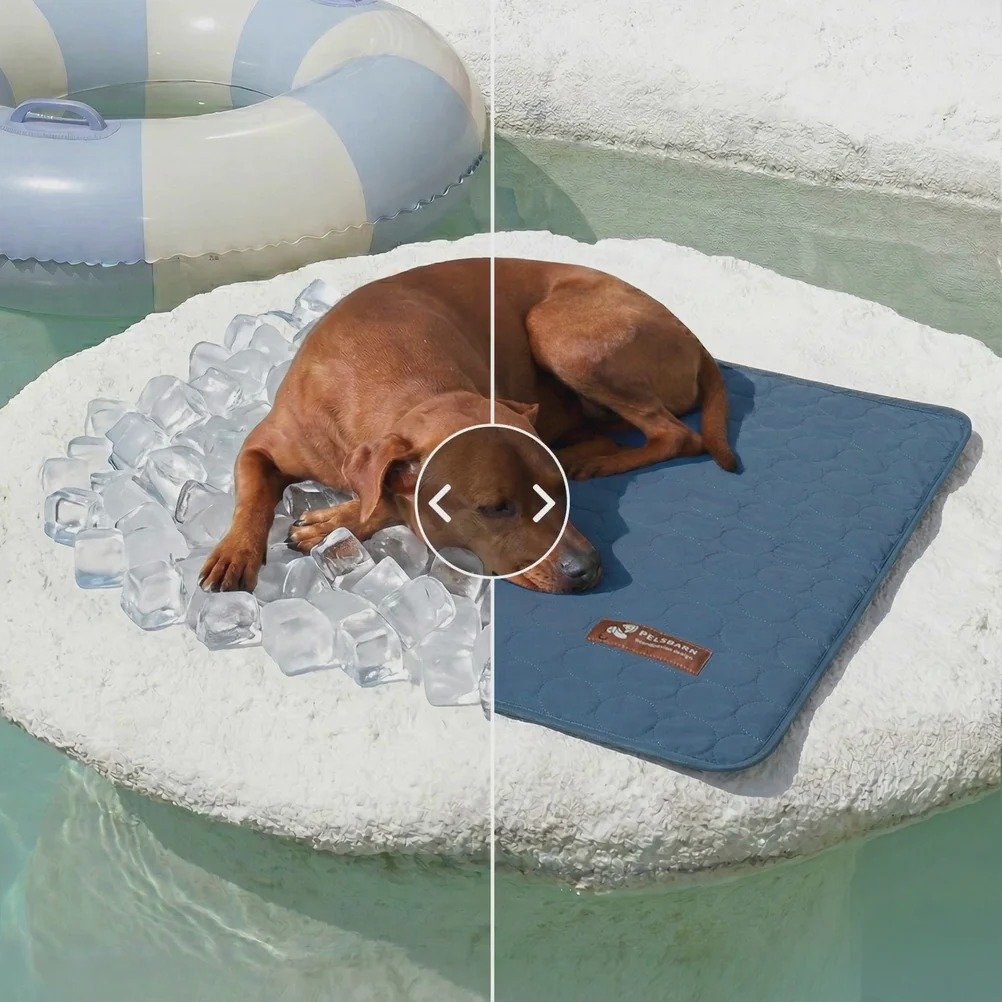 Best Cooling Dog Beds