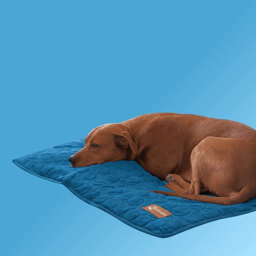 Pet Product Reviews