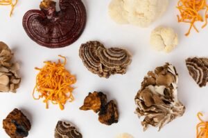 Troop Mushroom Gummies Review