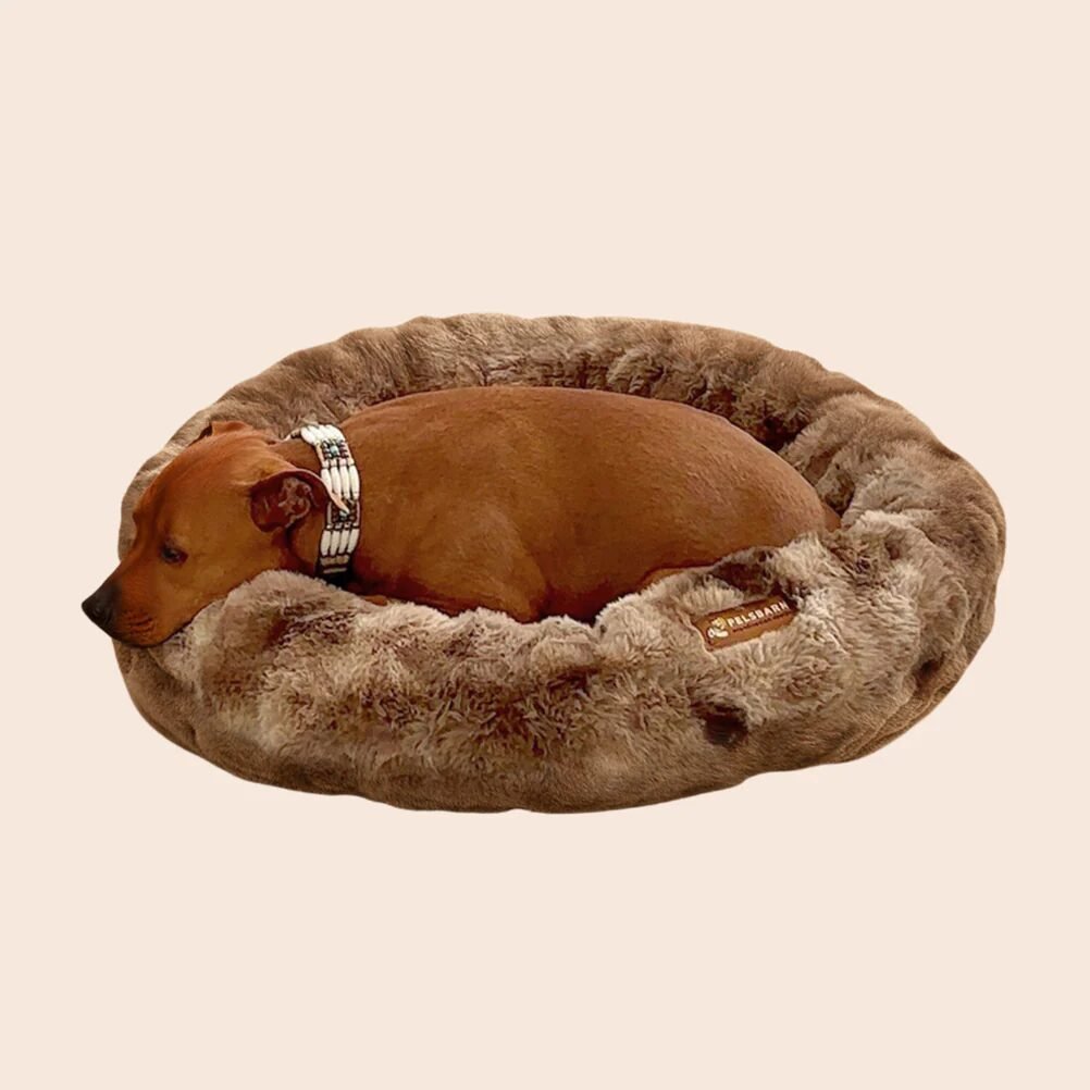 Best Orthopedic Dog Beds