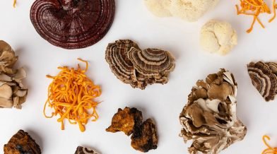 Troop Mushroom Gummies Review